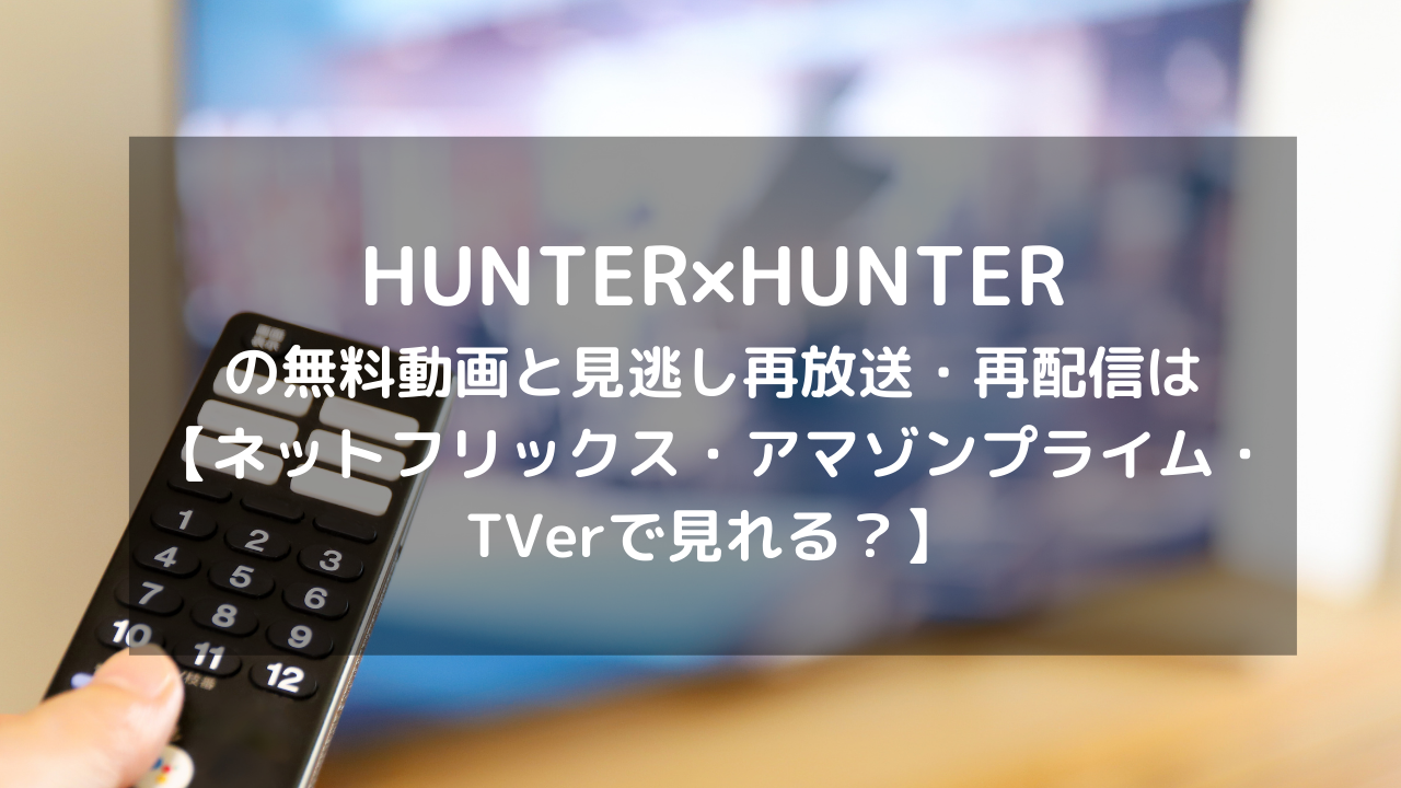 アニメ Hunter Hunter 見逃し配信と無料動画 再放送情報はこちら ネットフリックス アマゾンプライム Tverで見れる Vodプロ